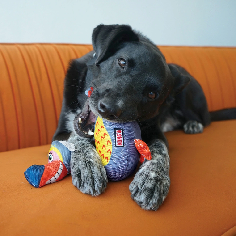 KONG Ballistic Vibez Birds - Image 5