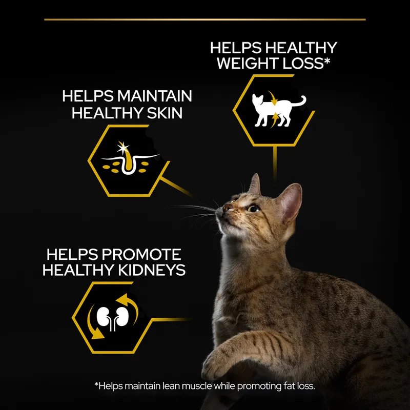 PURINA PRO PLAN Light - Adult Cat - Rich in Turkey 1.5KG - Image 3